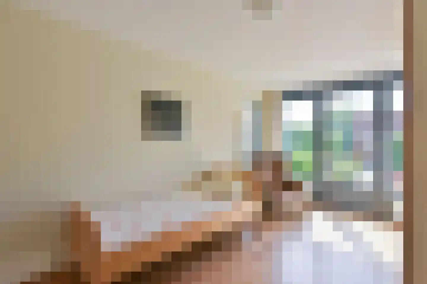 Renoirhof 156 Hoorn thumbnail 14