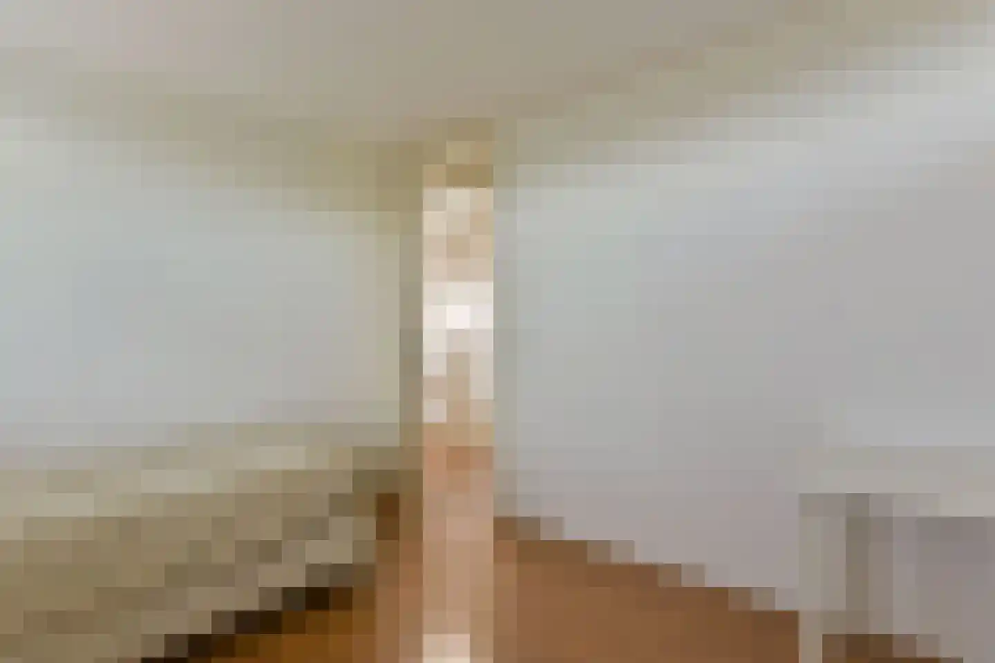 Renoirhof 156 Hoorn thumbnail 21