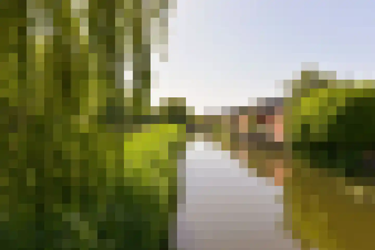 Renoirhof 156 Hoorn thumbnail 41