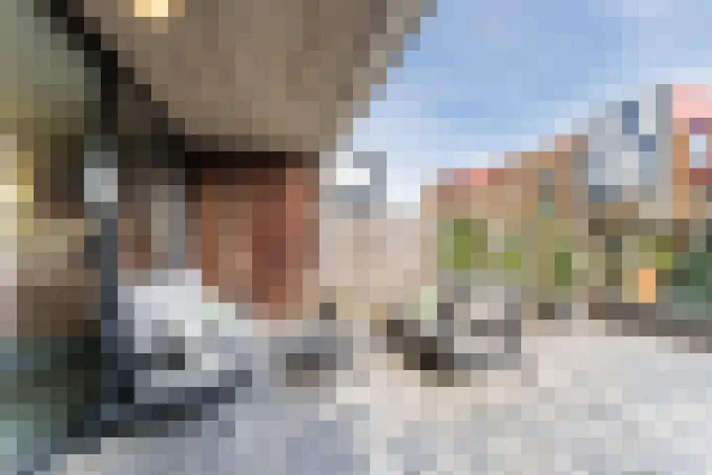 Renoirhof 20 Utrecht thumbnail 14