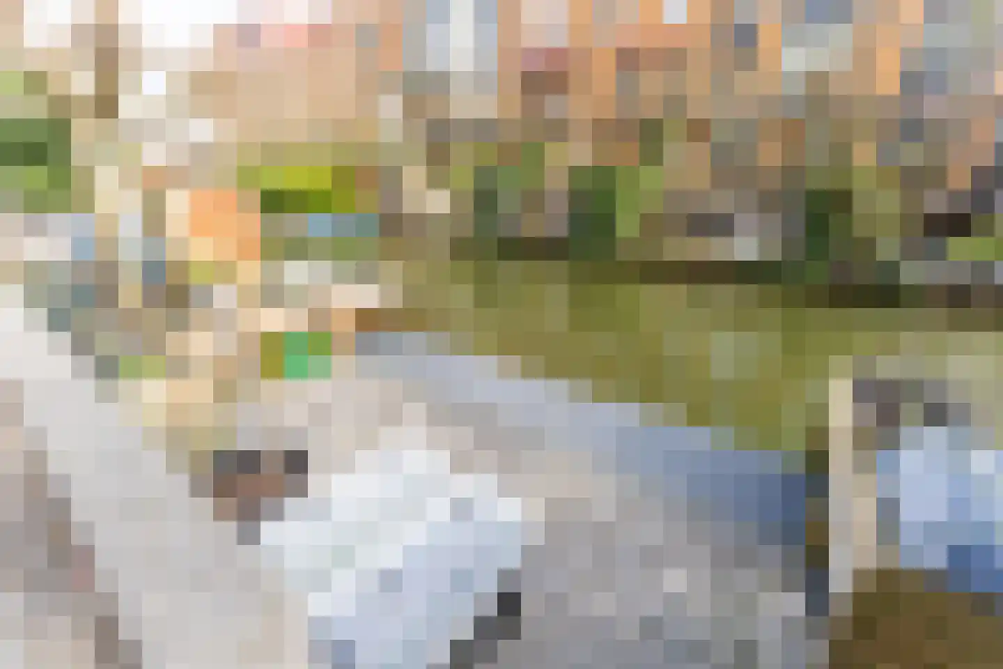 Renoirhof 20 Utrecht thumbnail 16