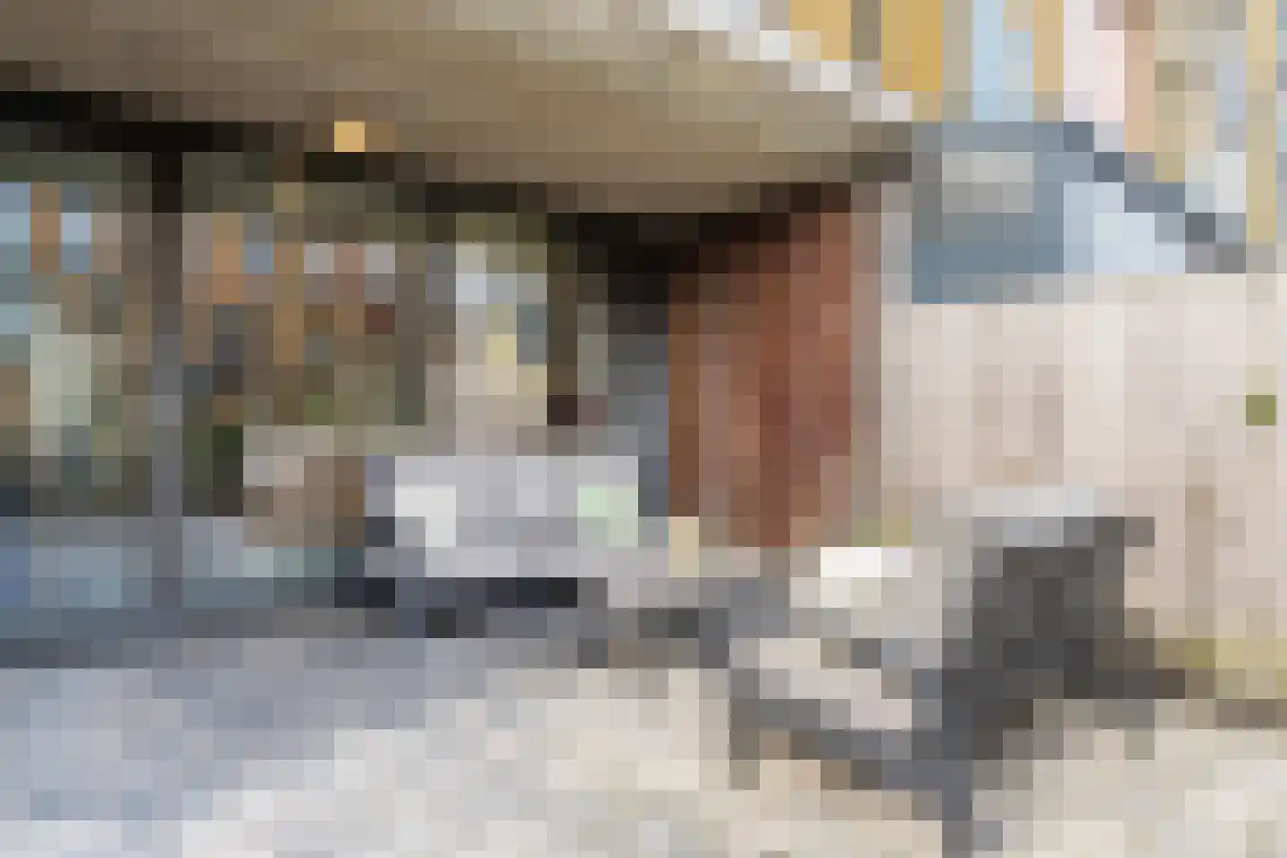 Renoirhof 20 Utrecht thumbnail 24