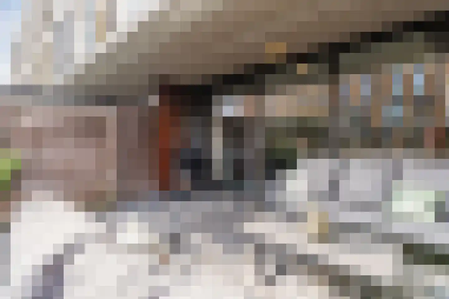 Renoirhof 20 Utrecht thumbnail 25