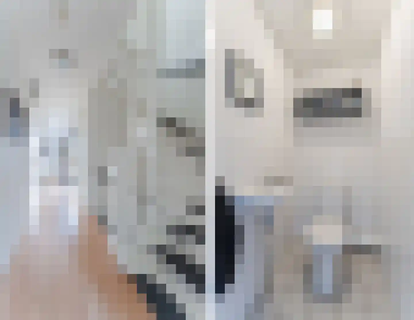 Renoirhof 20 Utrecht thumbnail 38