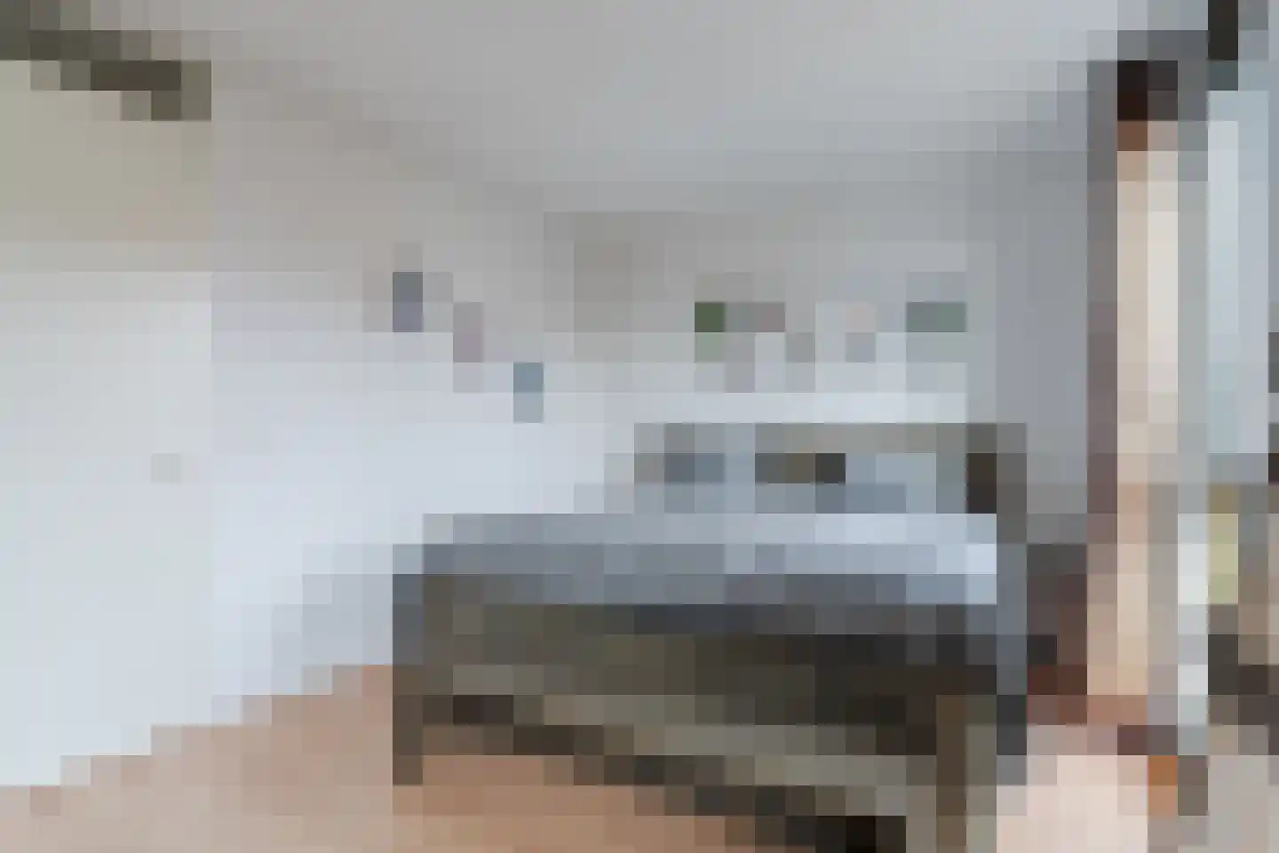 Renoirhof 20 Utrecht thumbnail 41