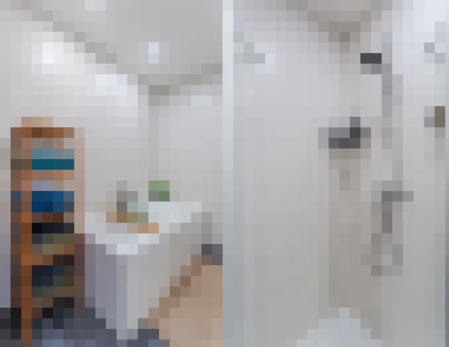 Renoirhof 20 Utrecht thumbnail 44
