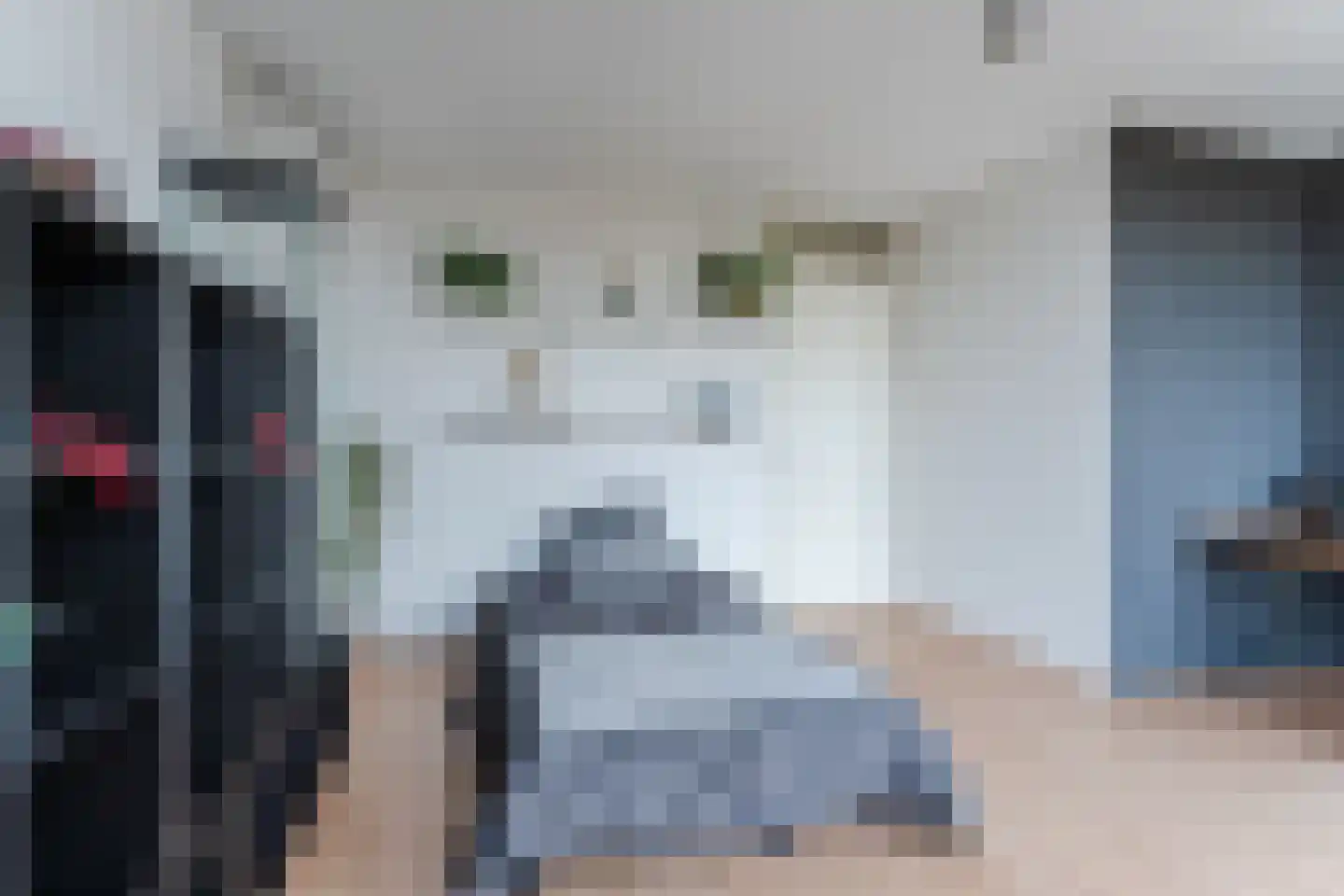 Renoirhof 20 Utrecht thumbnail 51