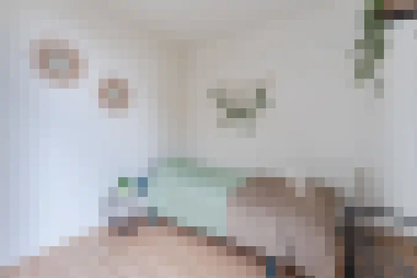Renoirhof 20 Utrecht thumbnail 54