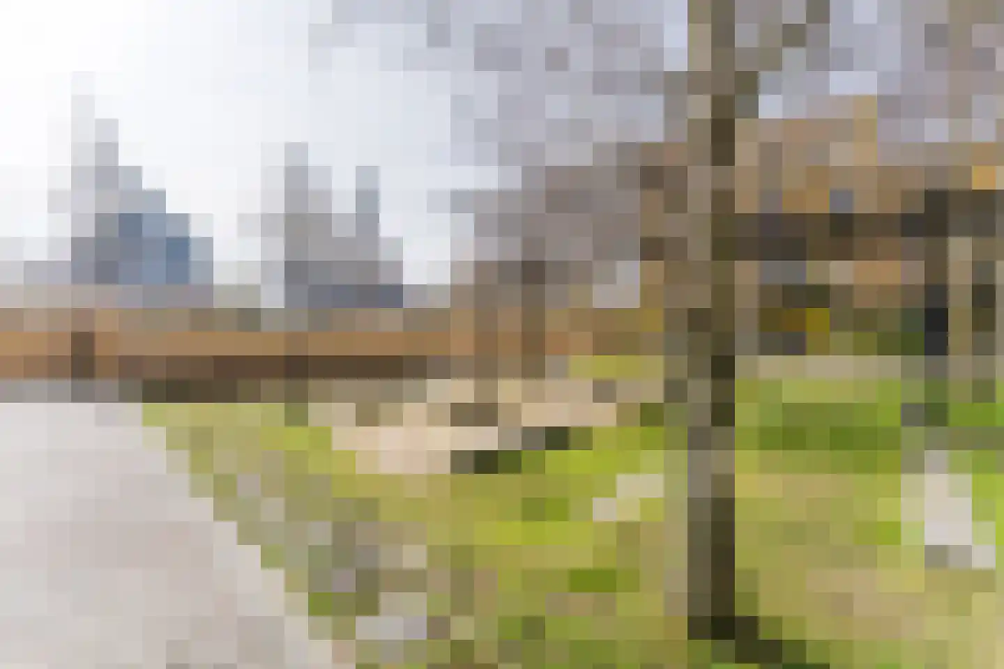 Renoirhof 20 Utrecht thumbnail 59
