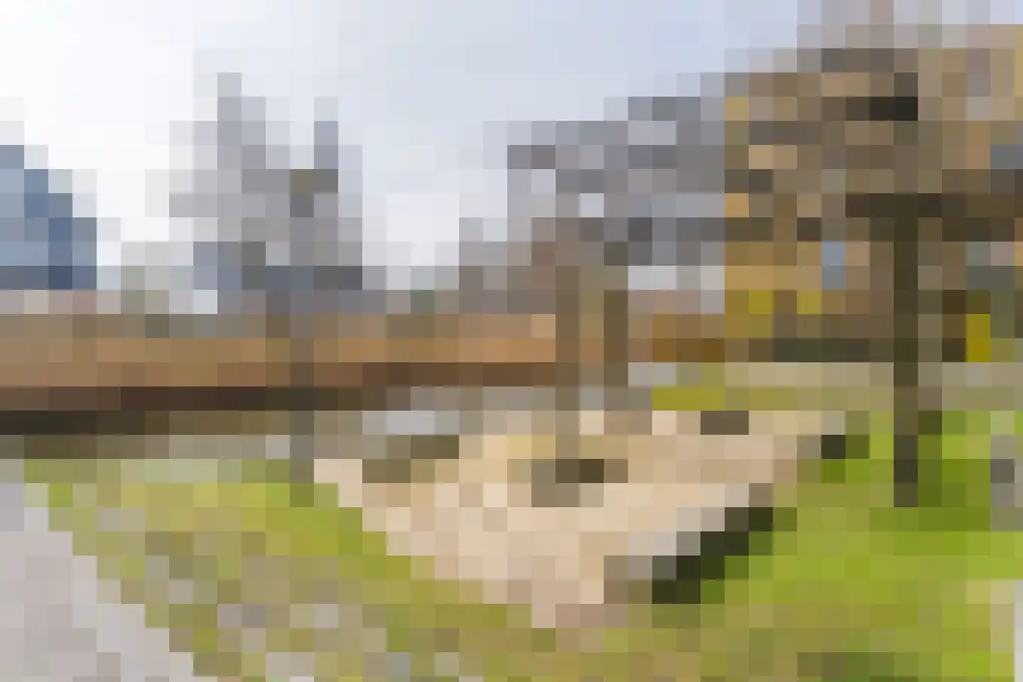 Renoirhof 20 Utrecht thumbnail 60
