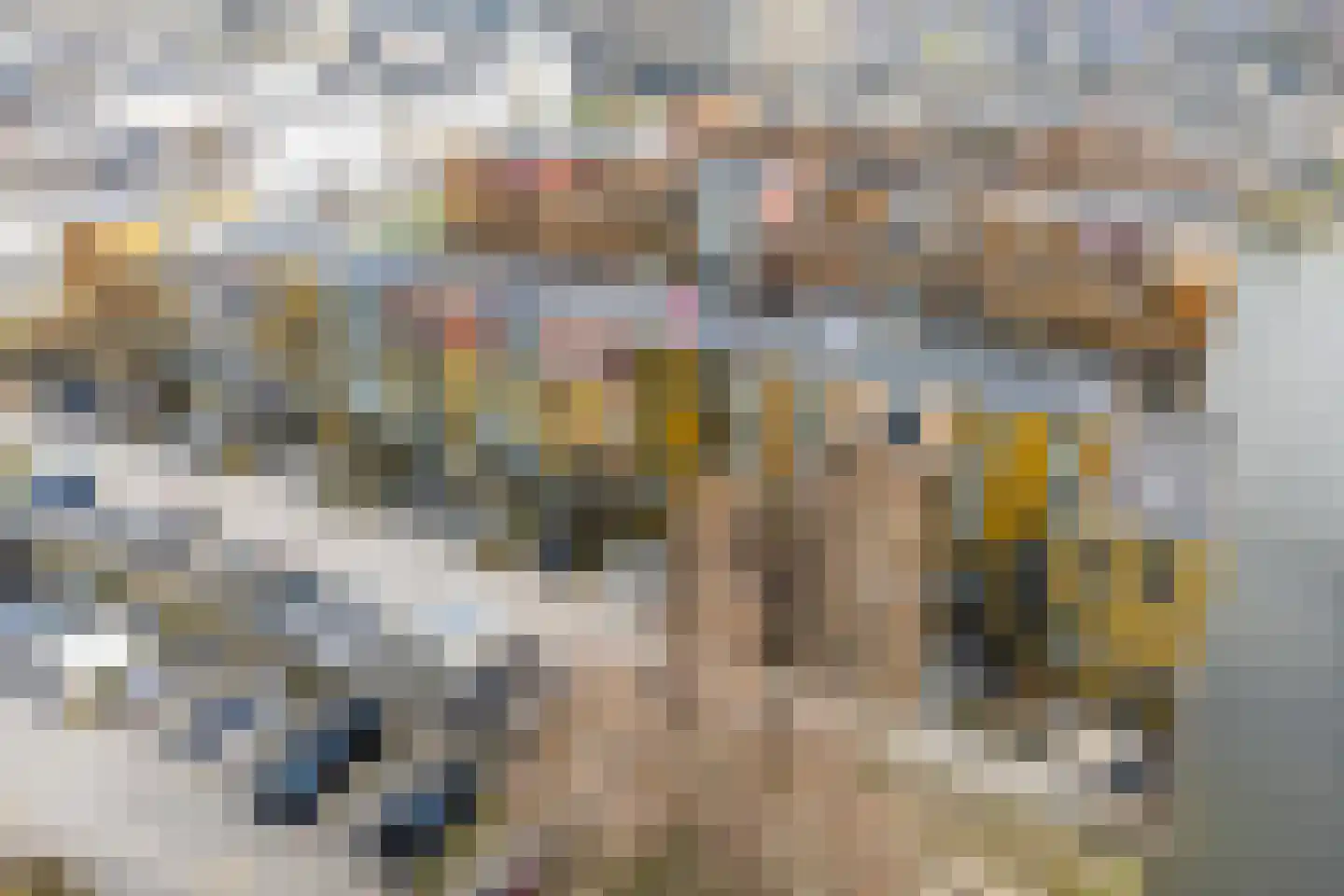 Renoirhof 20 Utrecht thumbnail 66