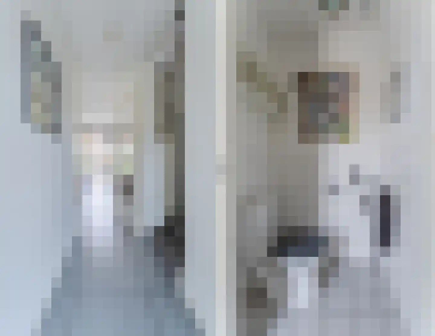 Renoirhof 20 Utrecht thumbnail 7