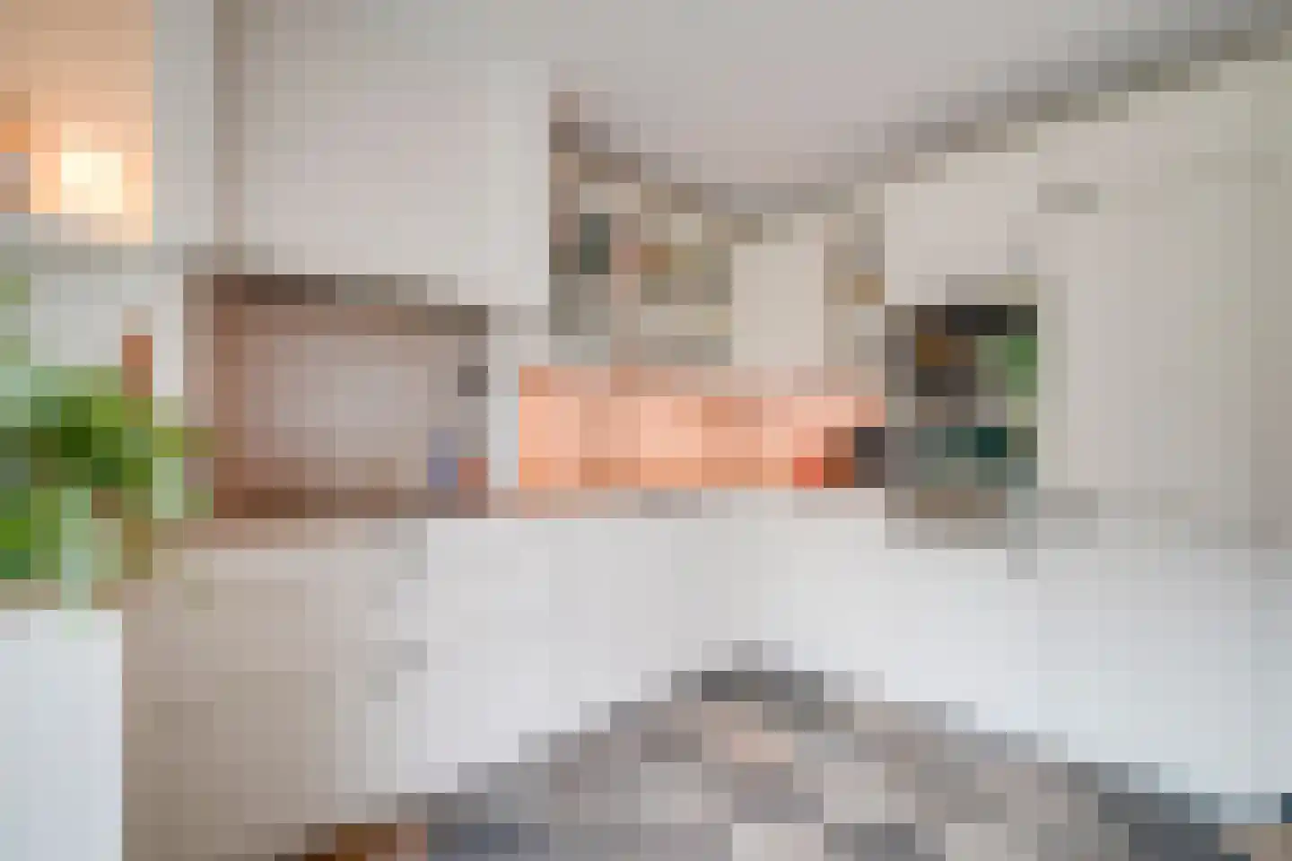 Renoirhof 23 Utrecht thumbnail 18