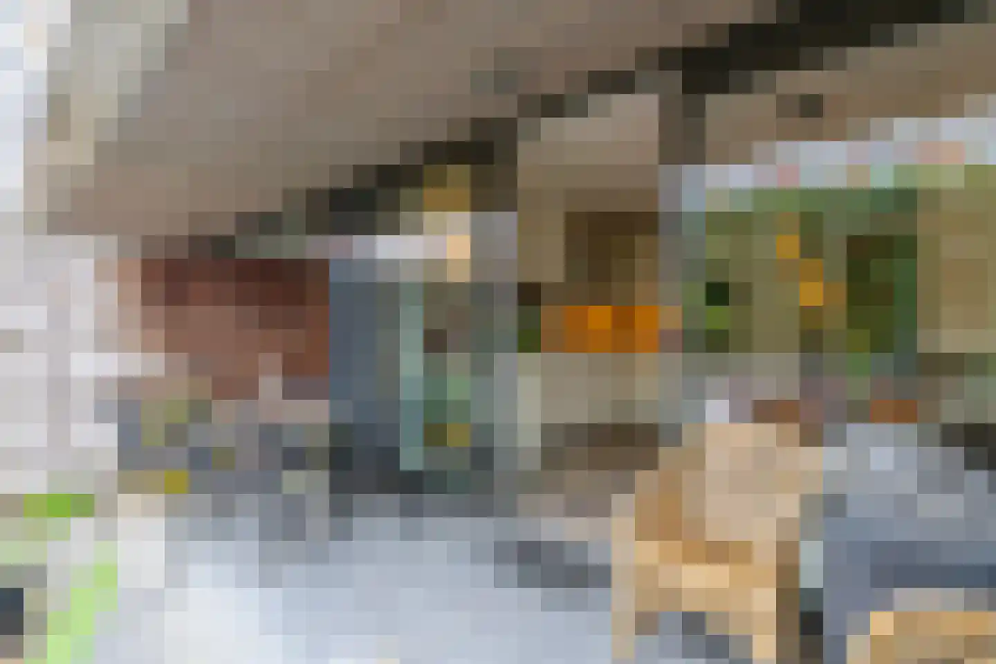 Renoirhof 23 Utrecht thumbnail 21