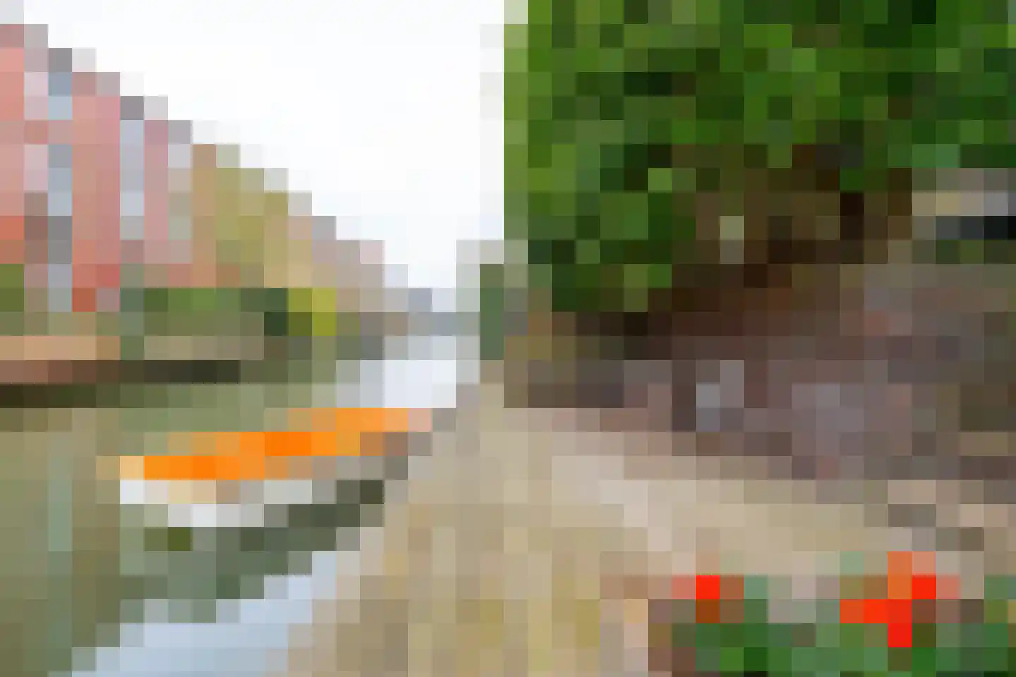 Renoirhof 23 Utrecht thumbnail 24