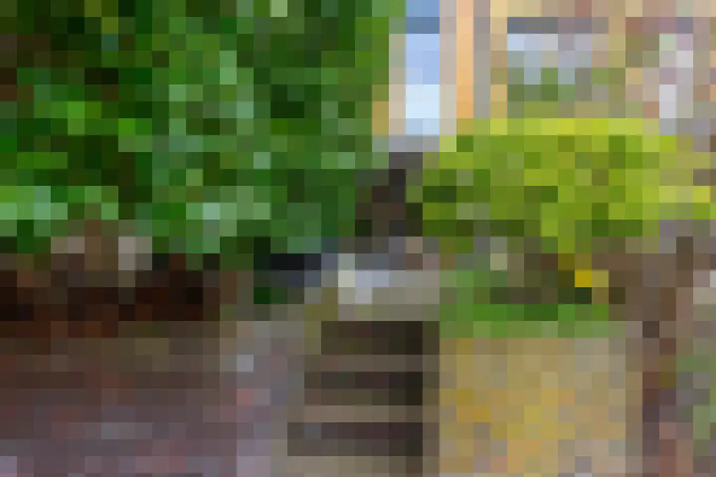 Renoirhof 23 Utrecht thumbnail 26