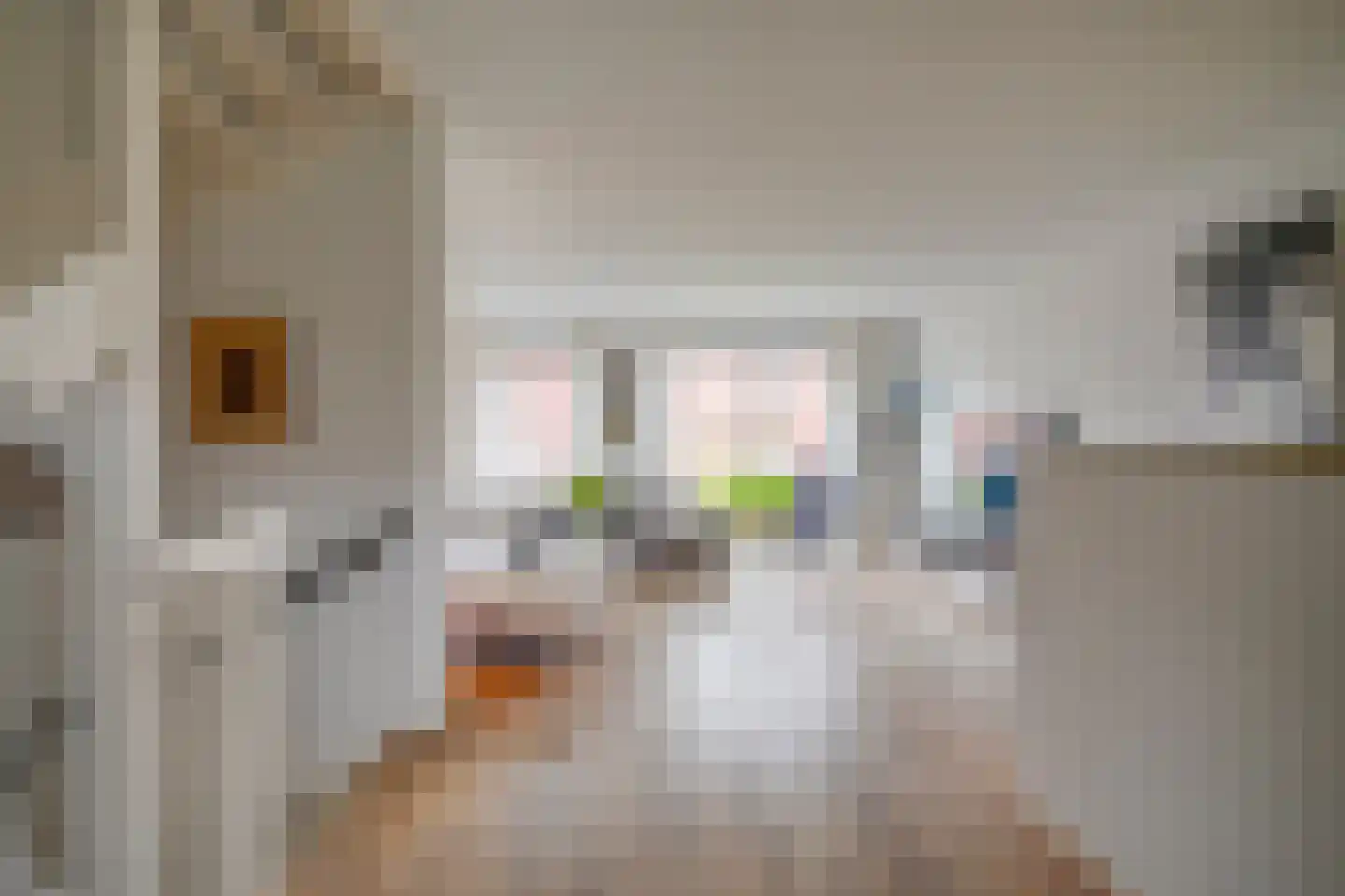 Renoirhof 23 Utrecht thumbnail 29