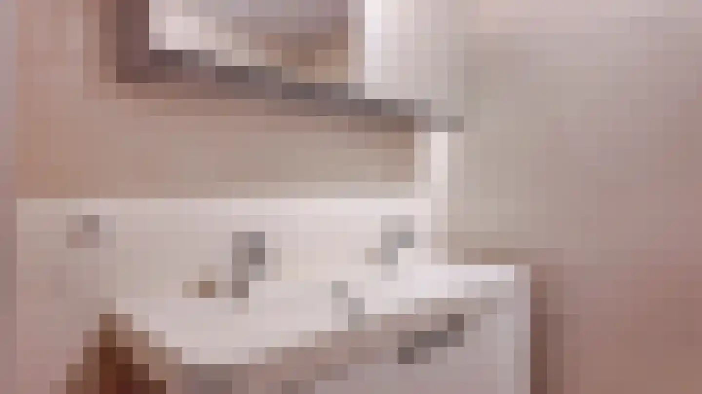 Renoirhof 23 Utrecht thumbnail 50