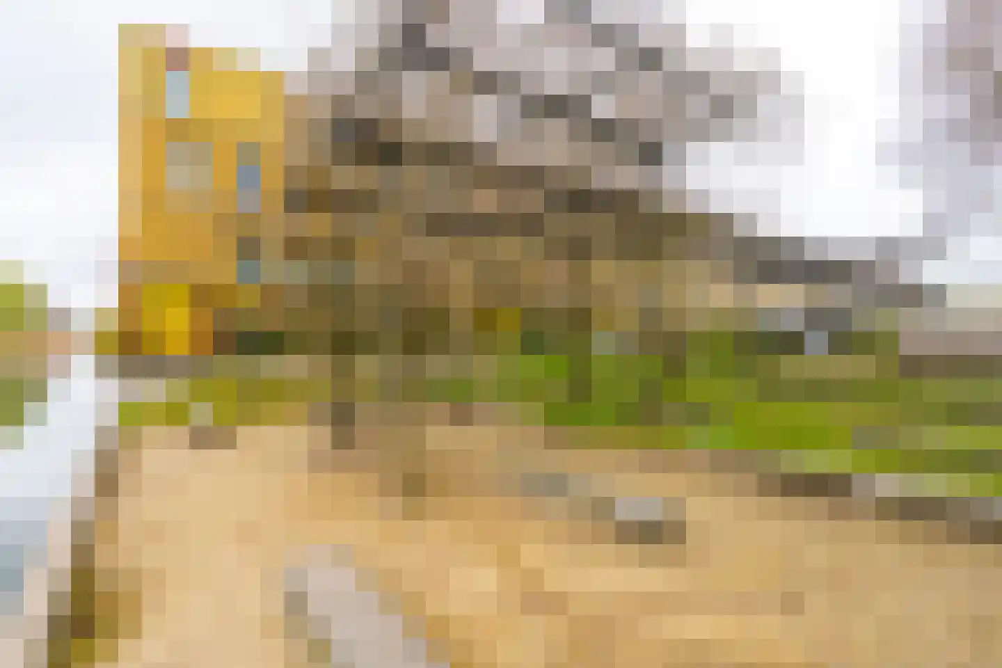 Renoirhof 23 Utrecht thumbnail 54