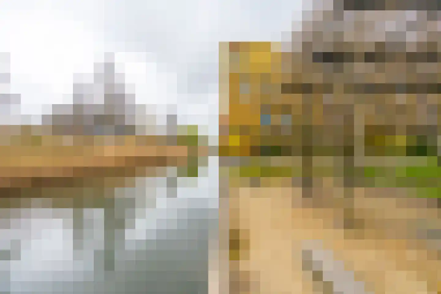 Renoirhof 23 Utrecht thumbnail 55