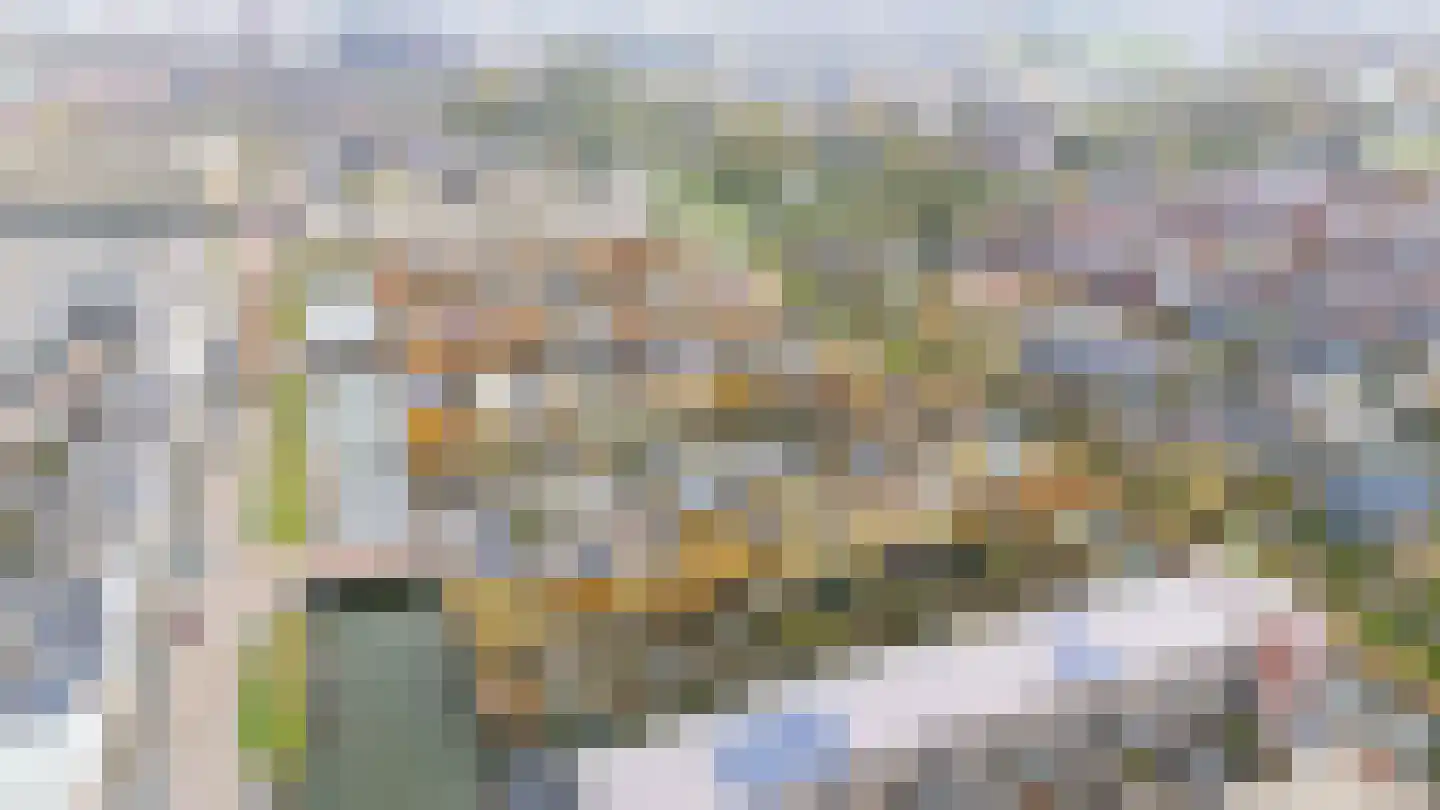Renoirhof 23 Utrecht thumbnail 58