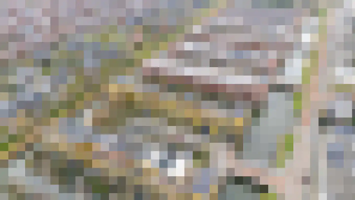 Renoirhof 23 Utrecht thumbnail 60