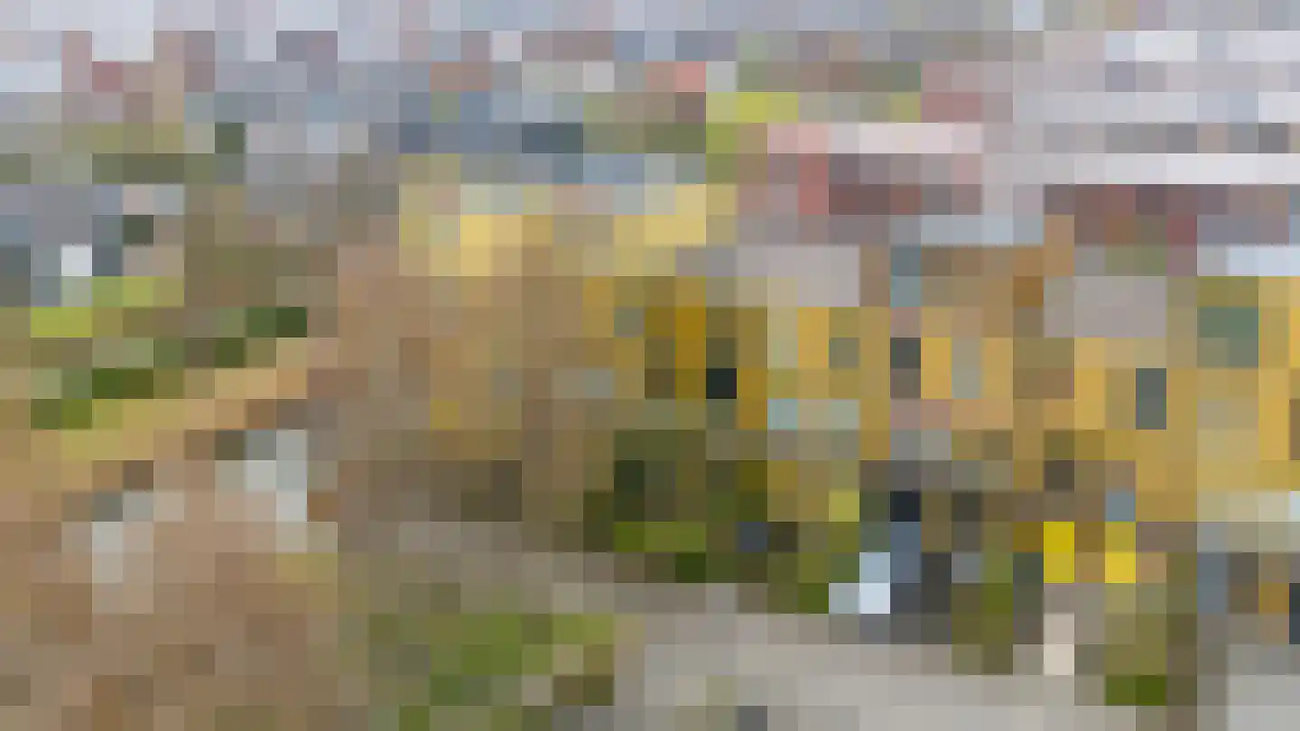 Renoirhof 23 Utrecht thumbnail 61