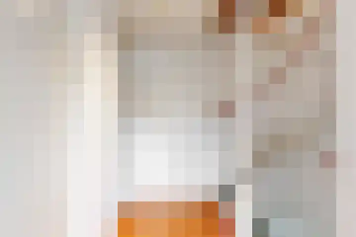 Renoirhof 32 Hoorn thumbnail 14