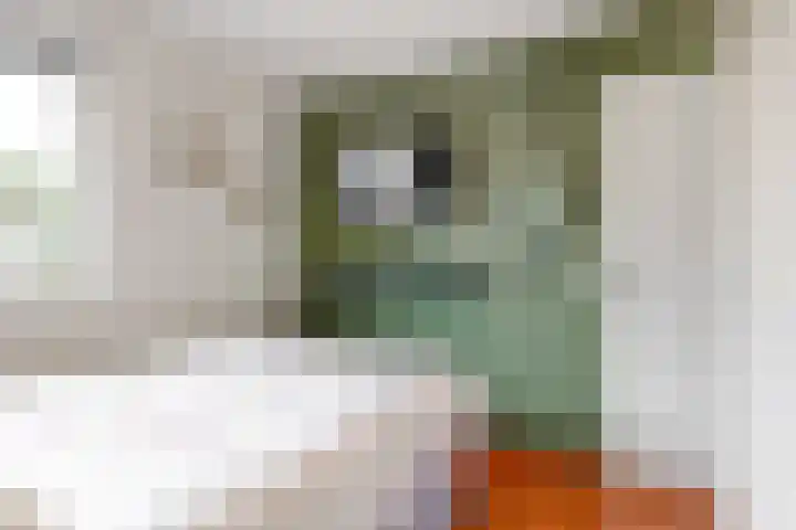 Renoirhof 32 Hoorn thumbnail 19