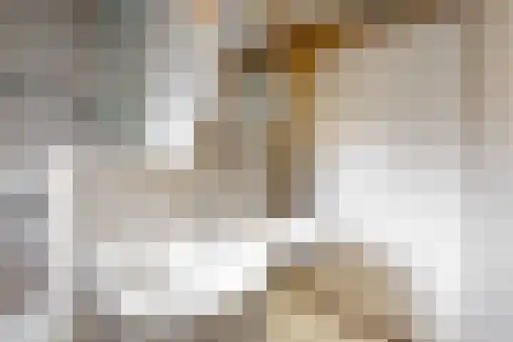 Renoirhof 32 Hoorn thumbnail 22
