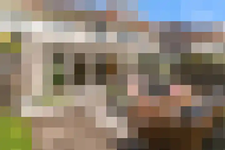 Renoirhof 32 Hoorn thumbnail 27