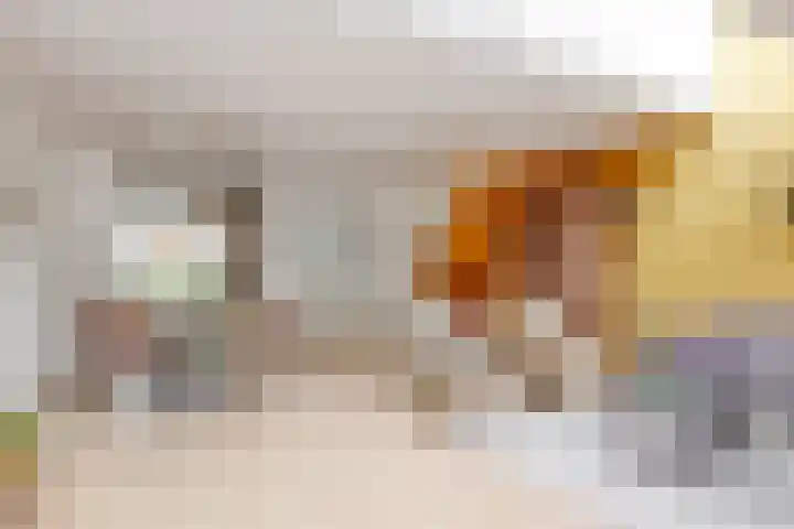Renoirhof 32 Hoorn thumbnail 7