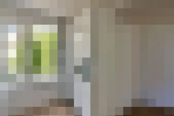 Renoirhof 46 Hoorn thumbnail 11
