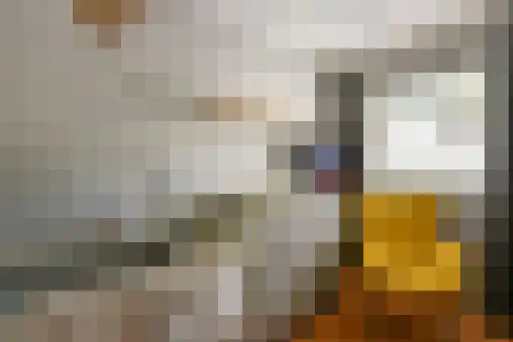 Renoirhof 46 Hoorn thumbnail 15
