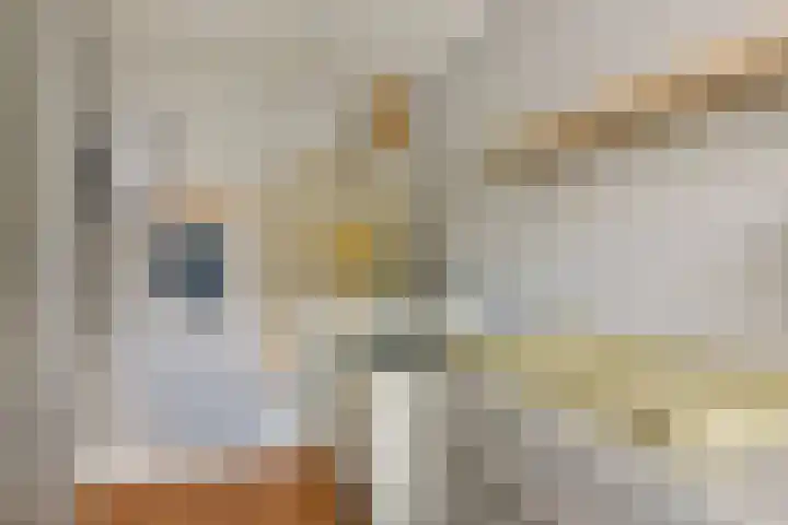 Renoirhof 46 Hoorn thumbnail 16