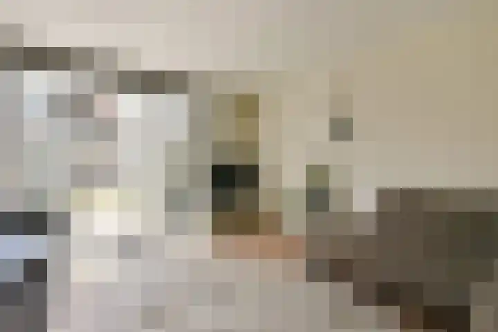 Renoirhof 46 Hoorn thumbnail 5
