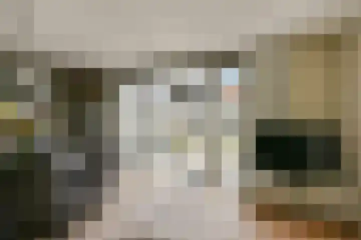 Renoirhof 46 Hoorn thumbnail 7