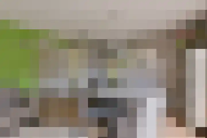 Renoirhof 46 Hoorn thumbnail 8