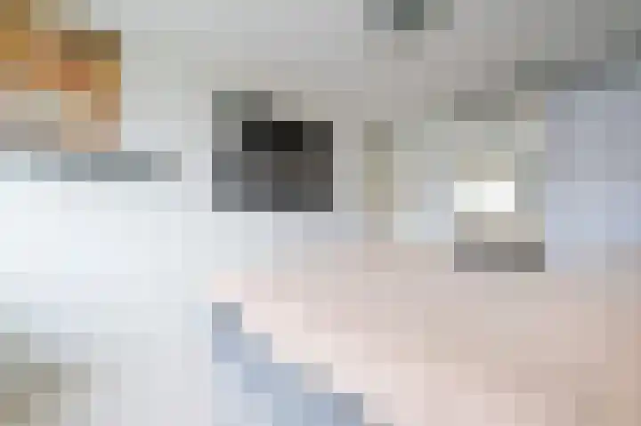 Renoirhof 73 Hoorn thumbnail 21
