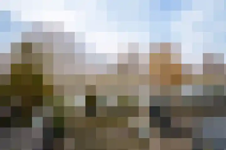 Renoirstraat 86 Almere thumbnail 24