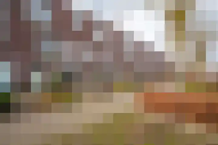Renoirstraat 86 Almere thumbnail 31
