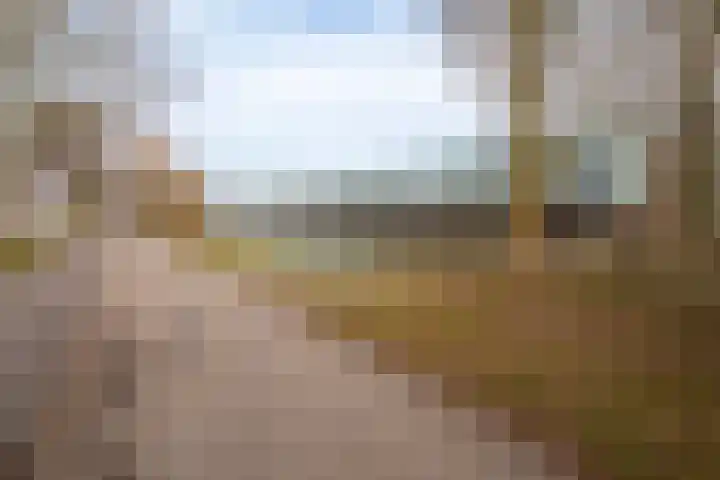 Renoirstraat 86 Almere thumbnail 37
