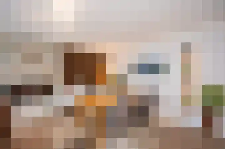 Renoirstraat 92 Almere thumbnail 12
