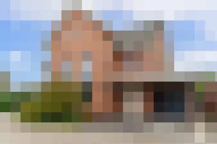 Renovalaan 17 Delfgauw