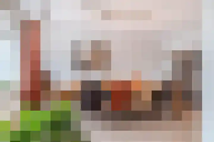 Renovalaan 17 Delfgauw thumbnail 16