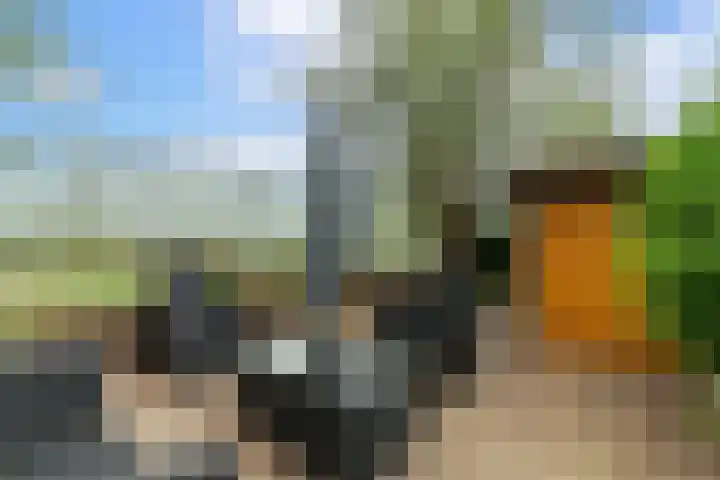 Renovalaan 17 Delfgauw thumbnail 18