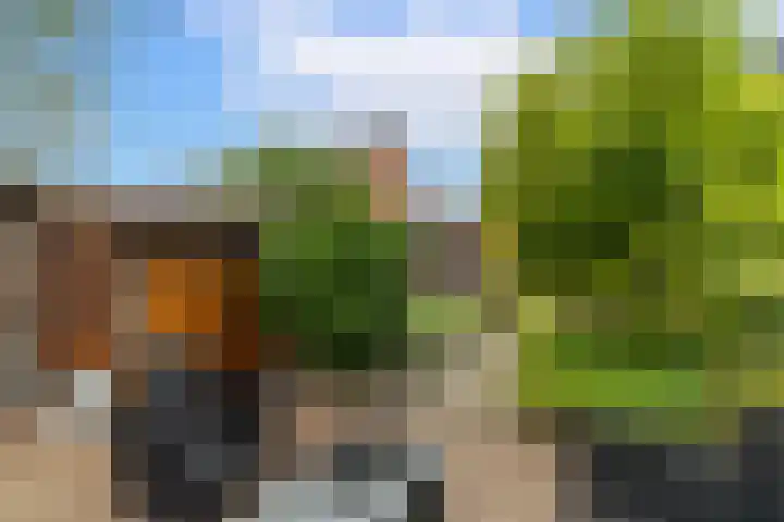 Renovalaan 17 Delfgauw thumbnail 19