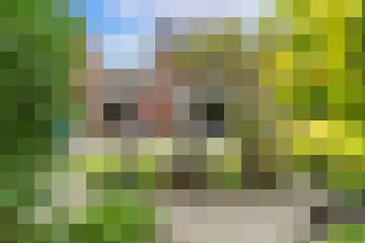 Renovalaan 17 Delfgauw thumbnail 20