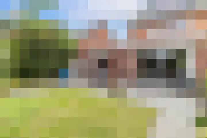 Renovalaan 17 Delfgauw thumbnail 22