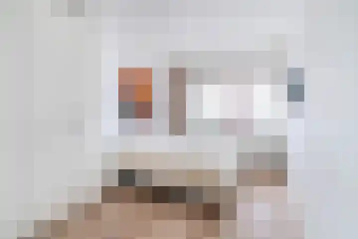 Renovalaan 17 Delfgauw thumbnail 27
